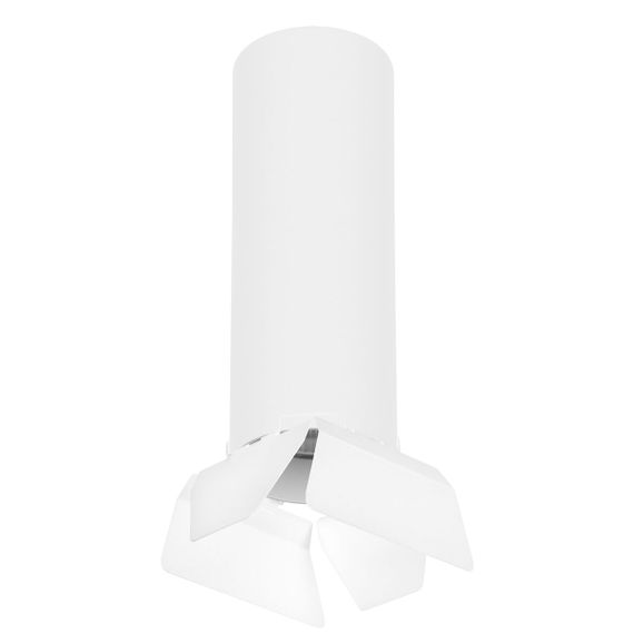 Комплект с потолочным светильником Lightstar Rullo (216496+202486) R6496486