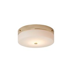Потолочный светильник для ванных комнат Elstead Lighting TAMAR-F-L-PG Elstead Lighting