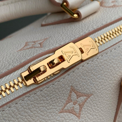Louis Vuitton Speedy 20