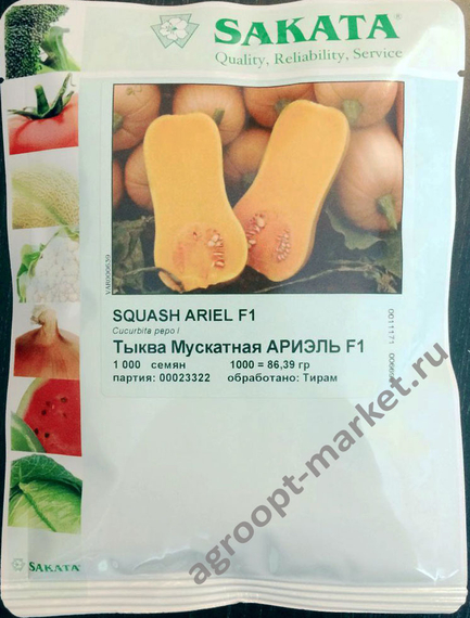 Ариэль F1 семена тыквы (Sakata / Саката) – фото 2