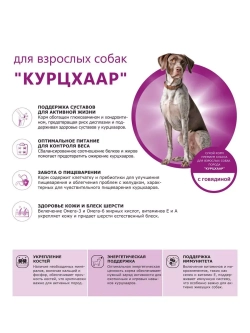 Сухой корм для собак породы Курцхаар, с говядиной, 12 кг