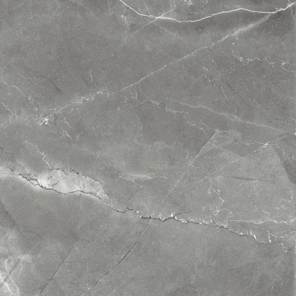 PULPIS NERO CR6011-A