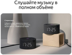 Умная колонка Яндекс Станция Мини с часами YNDX-00020 черный