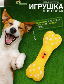 Игрушка для собак «Кость с портретом», 15 см, пищащая, жёлтая