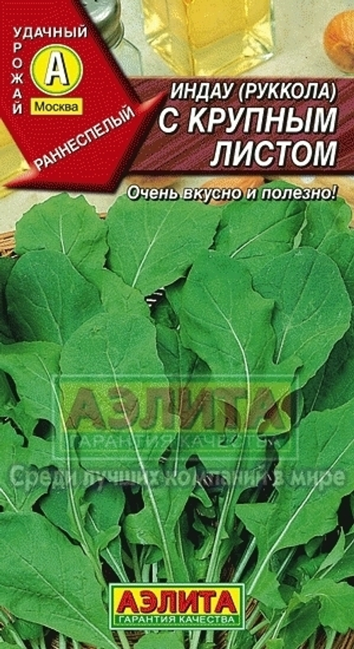 Индау (руккола) с крупным листом