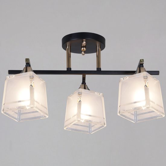 46460-0.3-03 BK+FG светильник потолочный