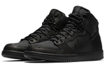 Кроссовки Nike Dunk Sb Bota