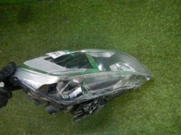 DSCN5392.jpg