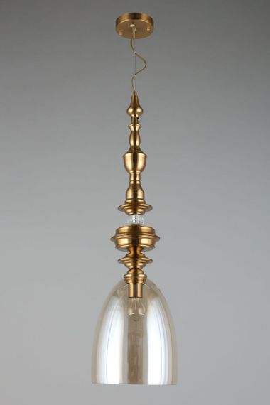 Подвесной светильник Aployt Rena APL.602.06.01