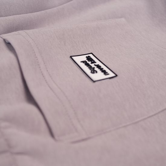 Штаны Dissident Sweatpants Never Logo (gray)