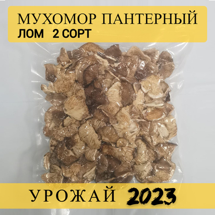 Мухомор пантерный, лом