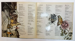 Винтажная виниловая пластинка Kate Bush Never For Ever (Germany 1980)