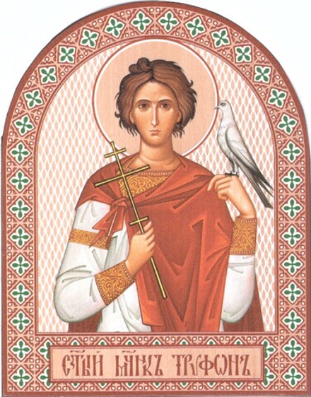 Икона аркой Трифон, мч. на дереве: 95 х 120 (Синопсисъ)