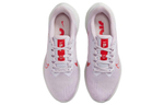Кроссовки Nike Air Winflo 9 (Женская размерная сетка)