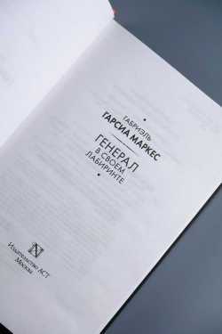 Генерал в своем лабиринте