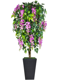 Искусственное дерево Глициния лиловая 150см в высоком коричневом кашпо ротанг