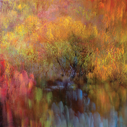 Коллекция Пейзаж