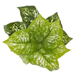 GAEM Цветочная композиция, L25 W25 H30 см, 5в.