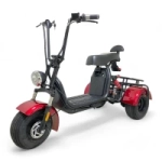 Электроскутер CITYCOCO X12 TRIKE Черный глянец