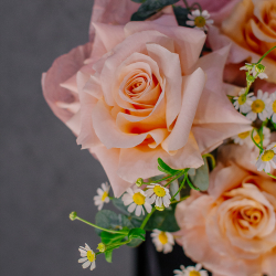 179. Нежный тёплый букет с французской розой и ромашками