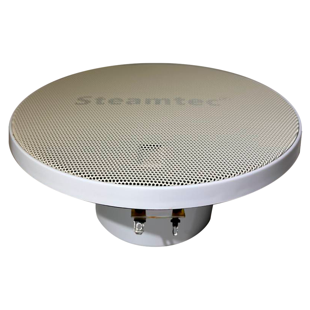 Влаго-термостойкий акустический динамик Steamtec TOLO-Music