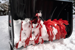 Бензиновый снегоуборщик GEOS Premium SnowLine 760 TE