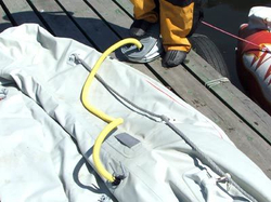 Насос лягушка Bravo 1