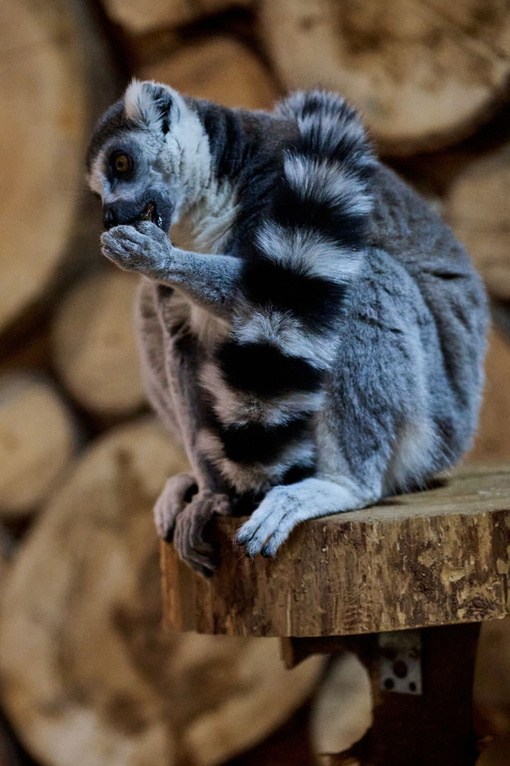 Праздник в стиле Гжель