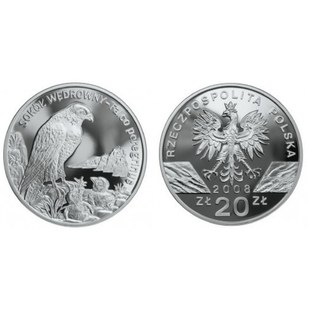 20 злотых. Сокол-Сапсан, Falce Peregrinus. 2008 год. Польша.