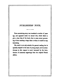 The Boy Wanderer Or, No Relations | Hector Henri Malot