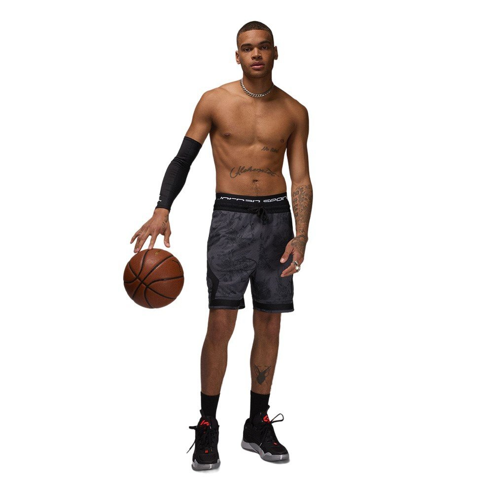 Баскетбольные шорты Jordan Sport Shorts Black