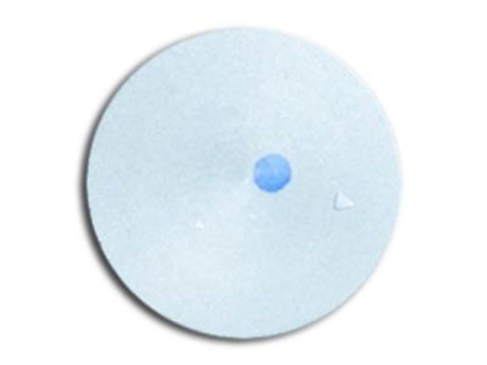 Поршень KG55 (D=43,2 мм) /Piston