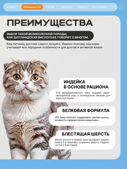 Корм сухой для кошек породы Шотландская вислоухая, с индейкой, 5 кг, QUATTRO