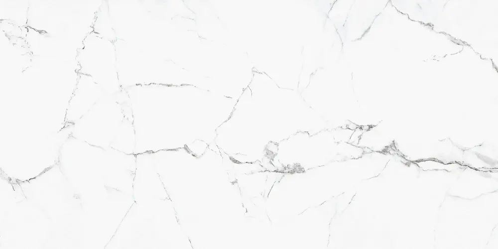 Керамогранит Primavera Colonial White Carving 60х120 см (CR222)