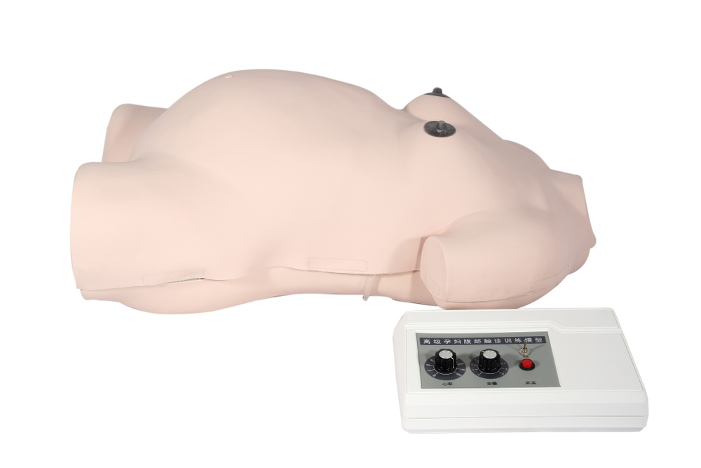 Тренажер для отработки навыков приема Леопольда