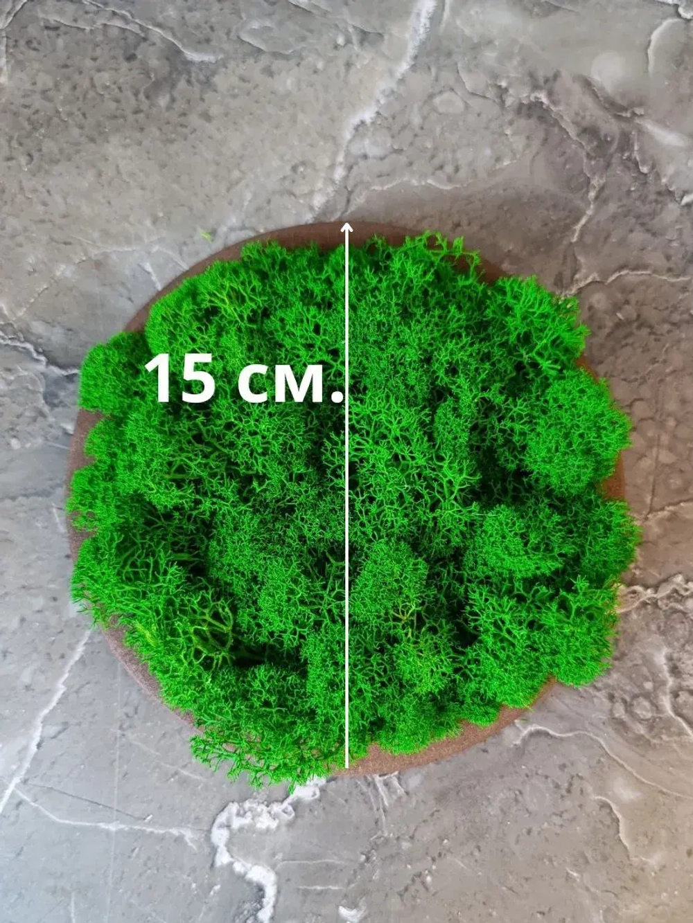 Панно из мха набор 3 шт.