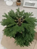 Ель искусственная «Изольда» (Литая хвоя) 230 см / 2,3 м