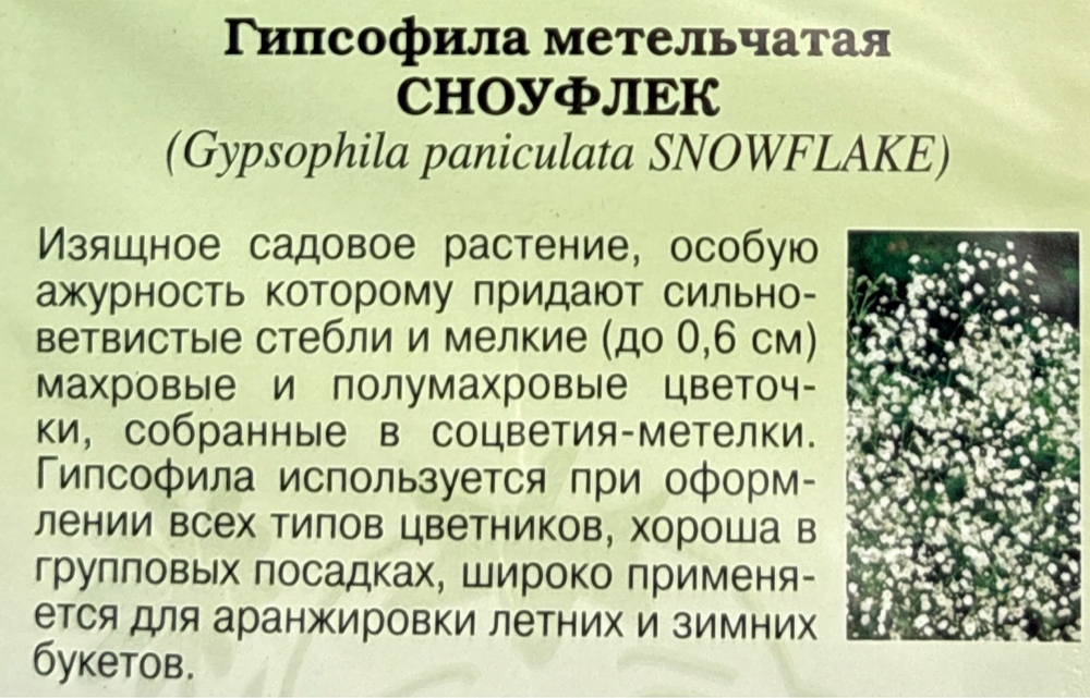 Гипсофила мн. Сноуфлек 0,1 г СМЦ-966