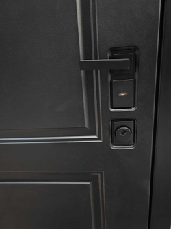 Входная металлическая дверь Рекс 17 Черный кварц / ФЛ-117 Силк сноу (белый матовый, без текстуры)