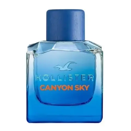 Унисекс парфюм Hollister Canyon Sky For Him EDT 100 мл