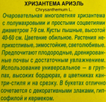 Хризантема Ариэль СМЦ-340