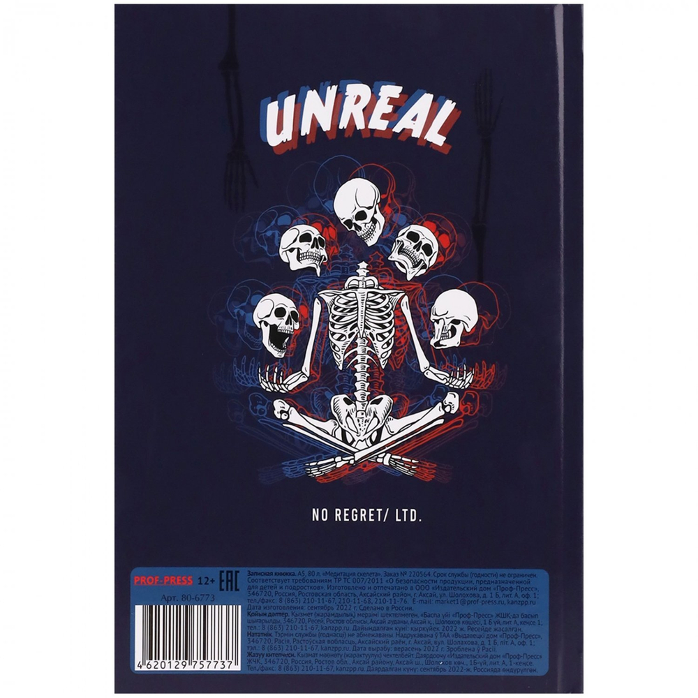 Записная книжка А5, Проф-Пресс, 7БЦ, ламинированный картон, матовая ламинация, твин-лак, клетка, 80 л., "Медитация скелета"