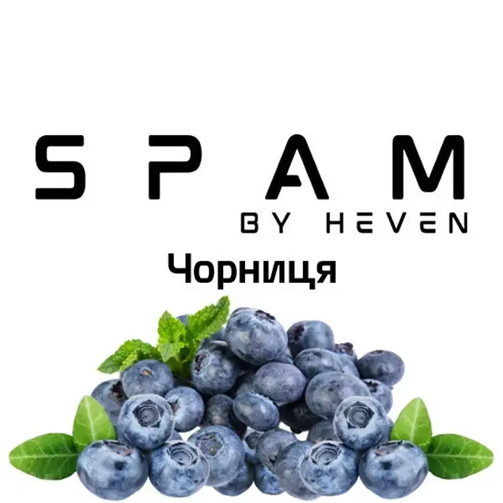 Spam - Черника (100г)