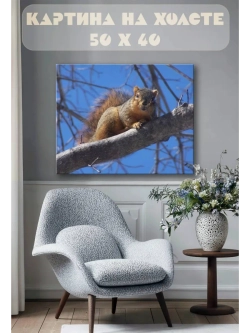 Картина на стену 40 X 50 Белка
