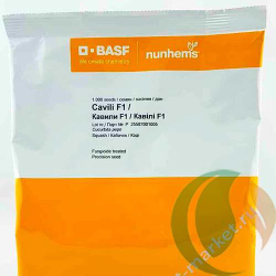 Семена кабачка Кавили F1, Nunhems