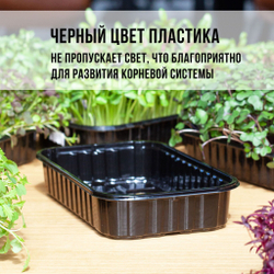 Лоток для выращивания свежей микрозелени / 18*11*5,5 см / 100 шт.