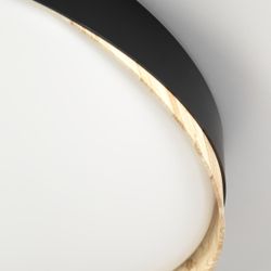 Citilux BONNY CL754451G LED RGB Светильник с пультом Чёрный + Клён