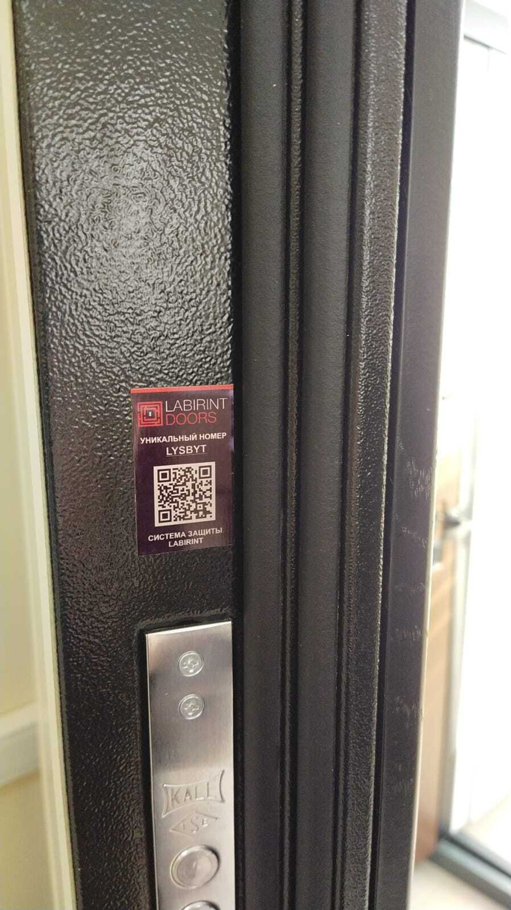 Дверь входная Лабиринт GRAND 02 Венге, стекло белое металлическая