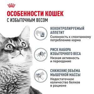 Пауч Royal Canin Light Weight Care для взрослых кошек, для профилактики избыточного веса, мелкие кусочки в соусе