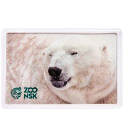 МТ- 001/08-A Магнит «Новосибирский зоопарк»